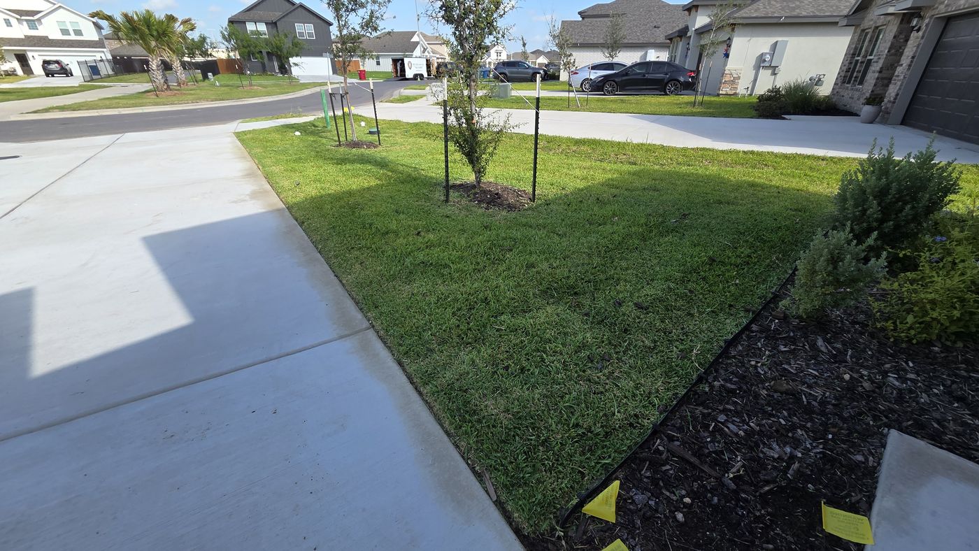 Edged corner lot with mulch beds and young trees