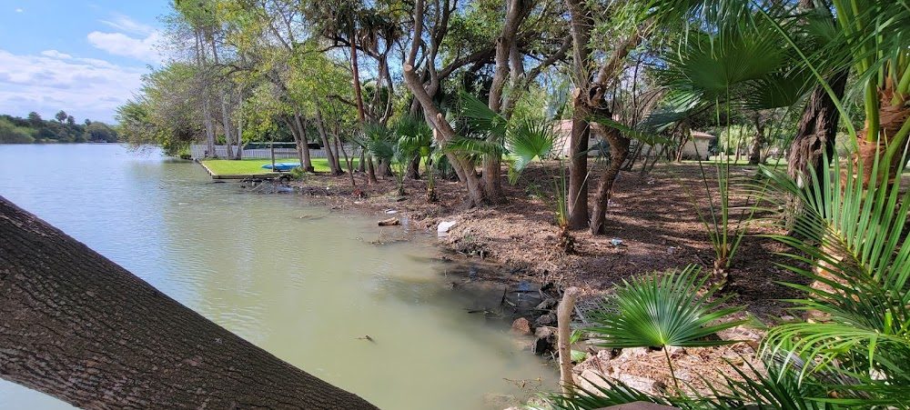 Trees and palms along a cleared resaca-side property
